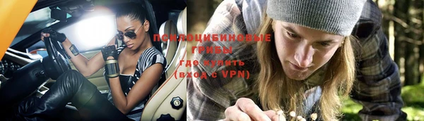дурь Вяземский