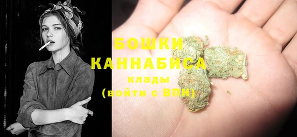дурь Вяземский