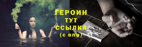 прущие грибы Вязьма