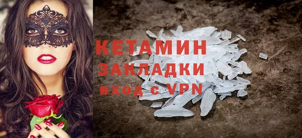 прущие грибы Вязьма
