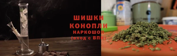 дурь Вяземский