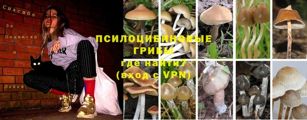 герыч Вязники