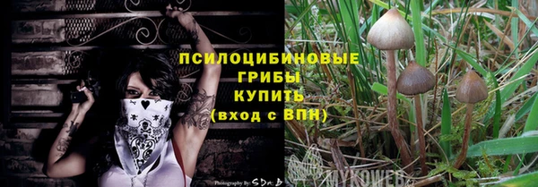дурь Вяземский