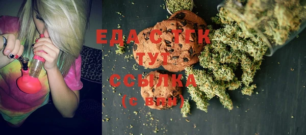 прущие грибы Вязьма