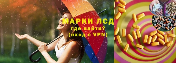 прущие грибы Вязьма