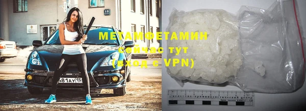 прущие грибы Вязьма